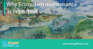 Why Ecosystem maintenance is important