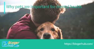 why pets important for mental healths1