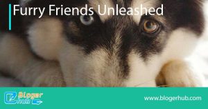 furry friends unleashed image