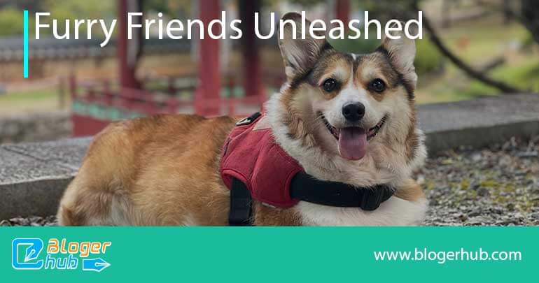 Furry Friends Unleashed